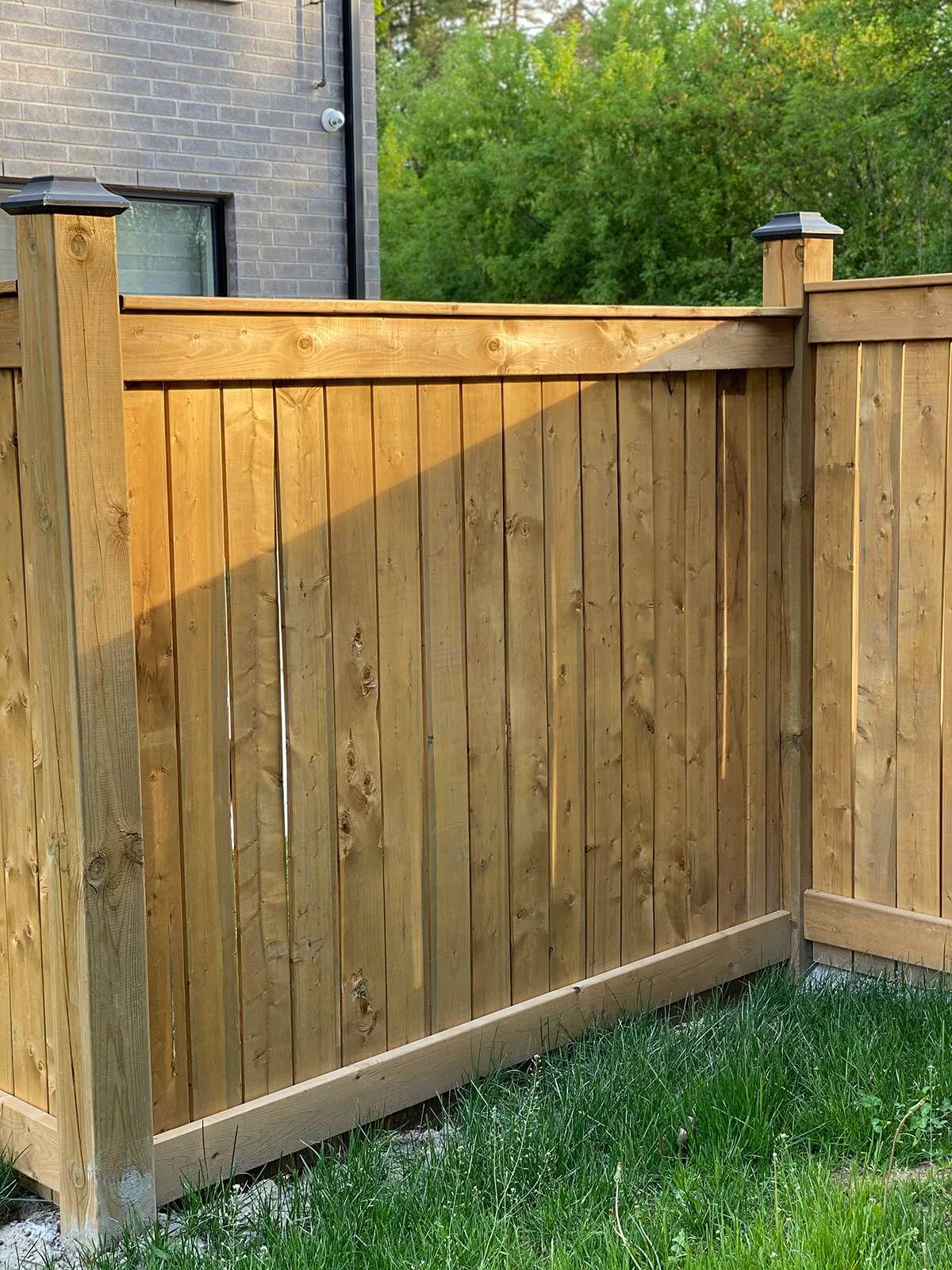 choose cedar fence Magic Landscape