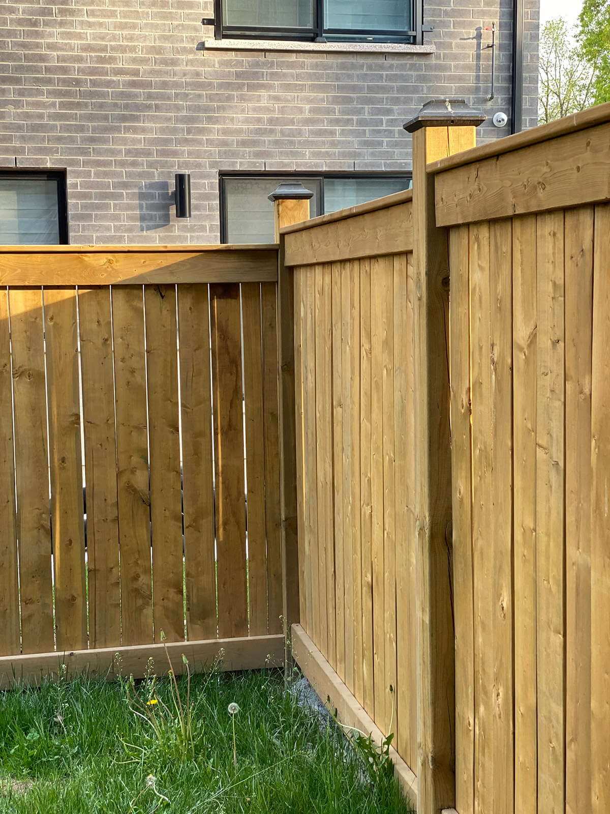 Cedar Fence Magic Landscape