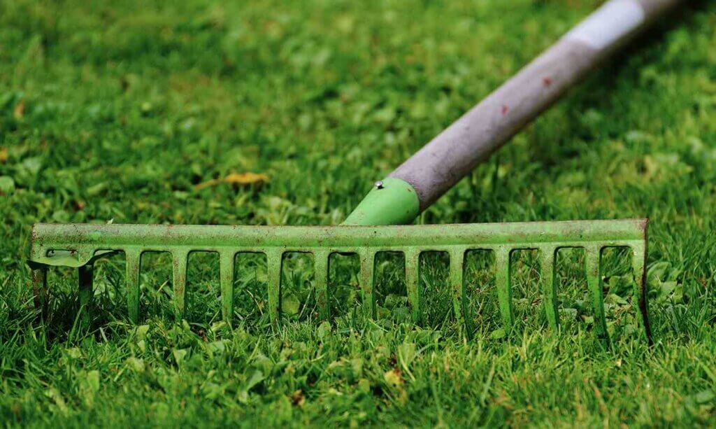 Rake your lawn in spring Magic Landscape