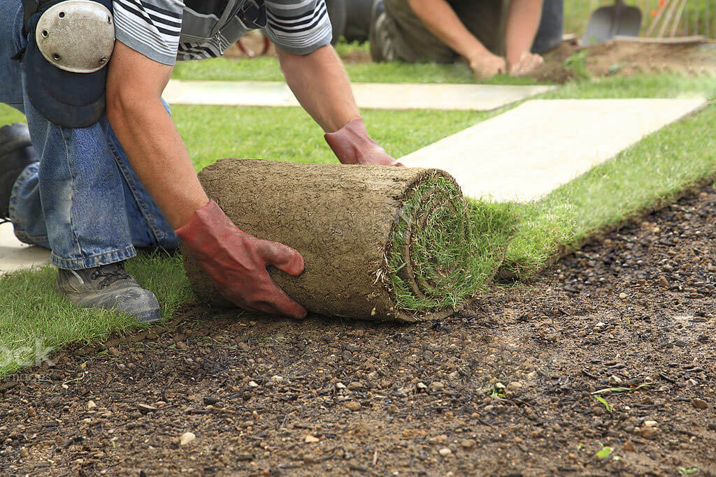 Sodding and Lawn Replacement with Magic Landscape