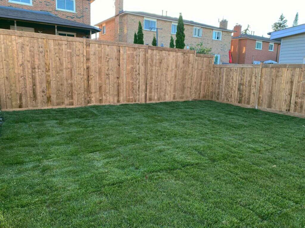 One Day Lawn Installation Magic Landscape