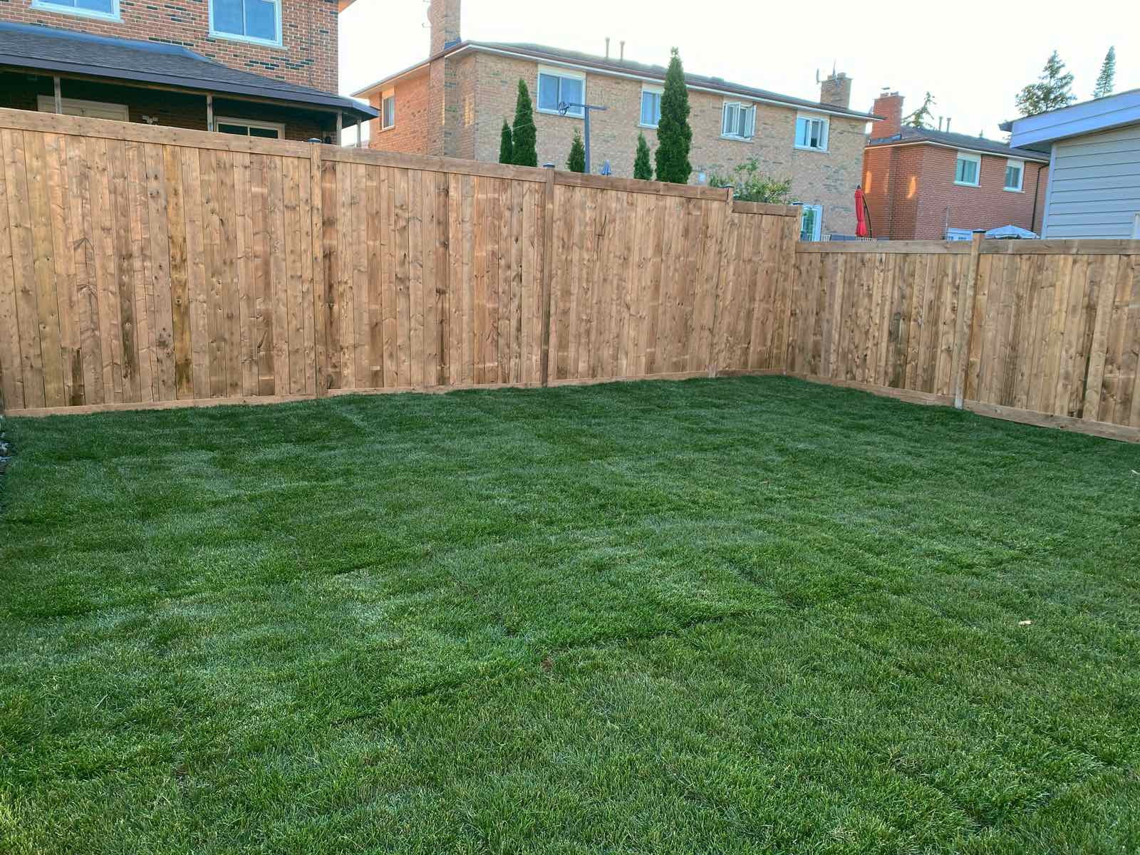 Sod installation Magic Landscape